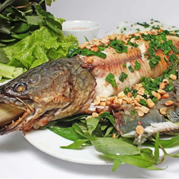 Cá trèo đồi giá sỉ