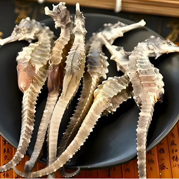 Cá ngựa khô giá sỉ